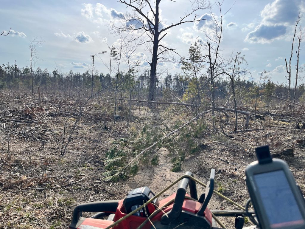 More scrapper trees left from the timber harvest that blew down across the trail. 